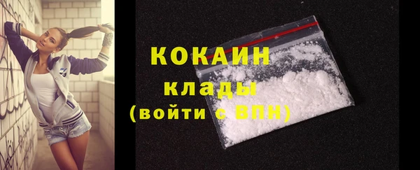 ешки Новозыбков