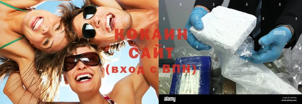 ешки Новозыбков