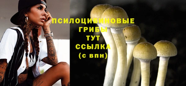 PSILOCYBIN Новодвинск