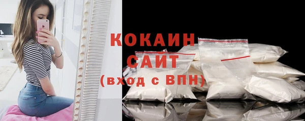 ешки Новозыбков