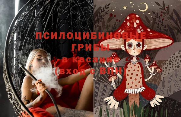 ешки Новозыбков