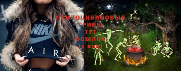 ешки Новозыбков