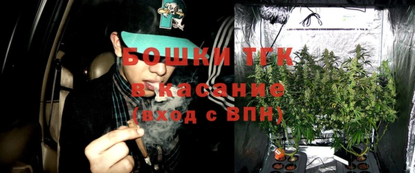 ешки Новозыбков