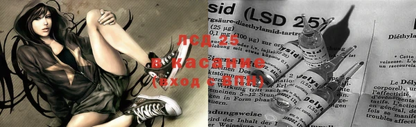 PSILOCYBIN Новодвинск