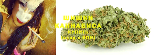 ешки Новозыбков