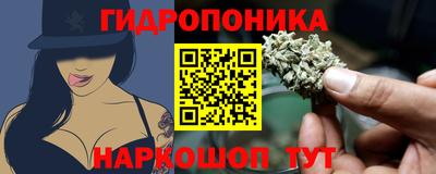 мдпв Аргун