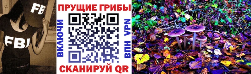 наркотики  Астрахань  Галлюциногенные грибы ЛСД 