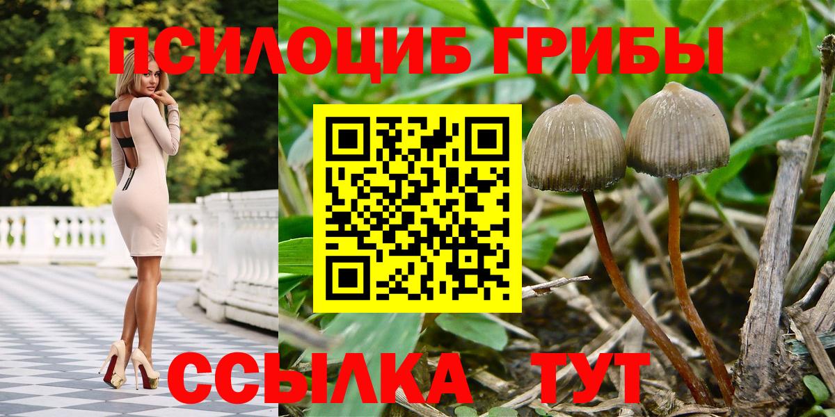 Канабис  Астрахань  Мяу-Мяу  Мяу-Мяу  Cocaine  АМФ  ГАШИШ  Alpha-PVP  Вход с VPN 