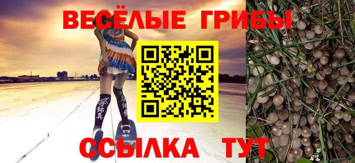 Псилоцибиновые грибы мицелий  Вход с VPN  Астрахань 