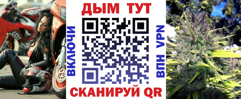 дарнет шоп  Астрахань  МАРИХУАНА семена 